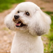 Bentley | Doylestown Health