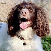 Gwynne | Doylestown Health