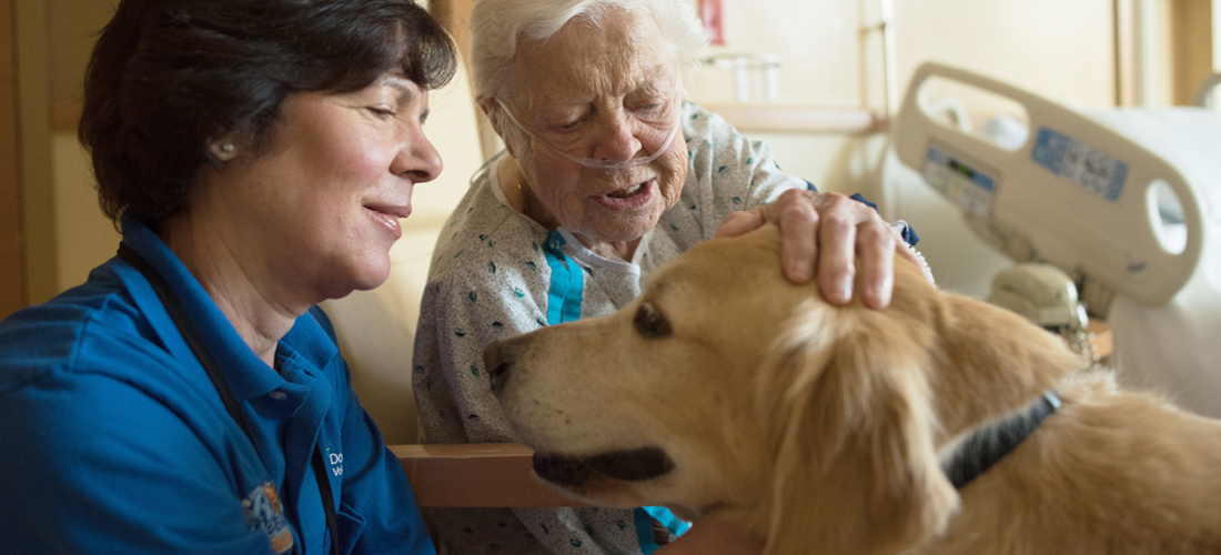 Patient and therapy dog interacting together | Doylestown Health