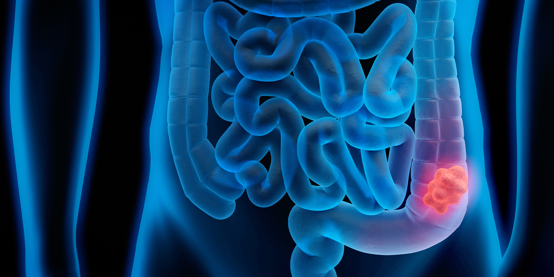 vector image of intestines inside a body
