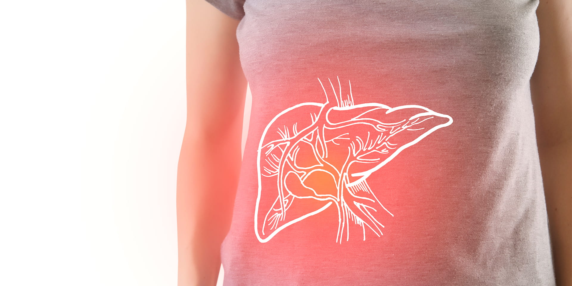 illustration of a liver superimposed on a woman&#39;s abdomen
