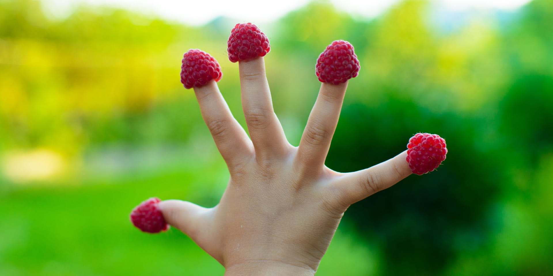 Kid&#39;s Fingers with Raspberry| Penn Medicine Doylestown Health