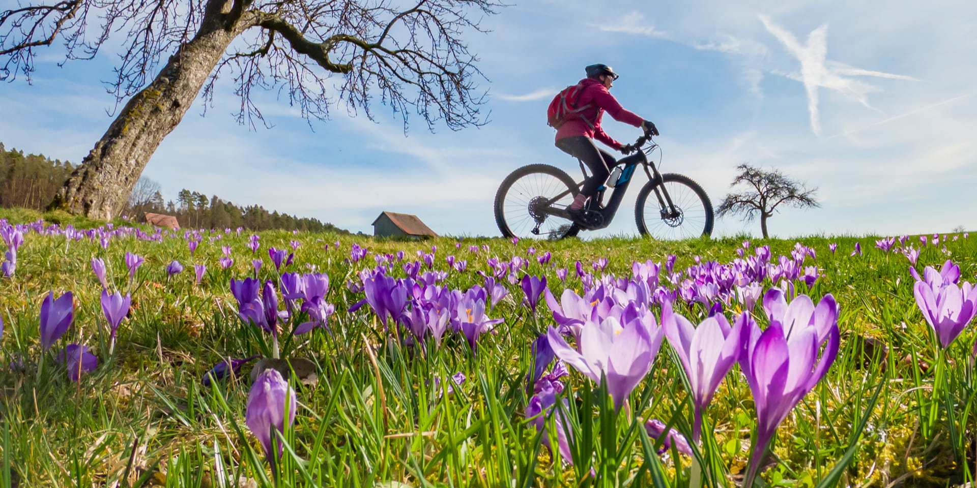 Spring outdoors with a bike rider | Doylestown Health