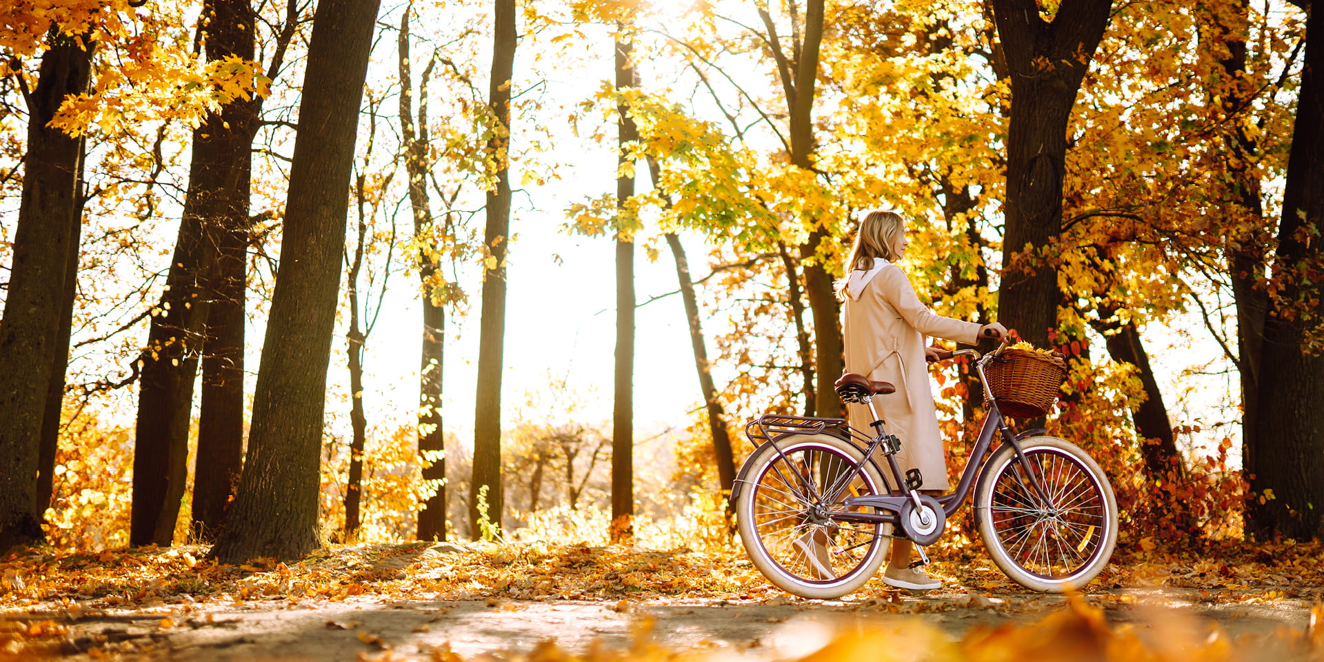 Woman and a bicycle in the Fall colored woods | Doylestown Health