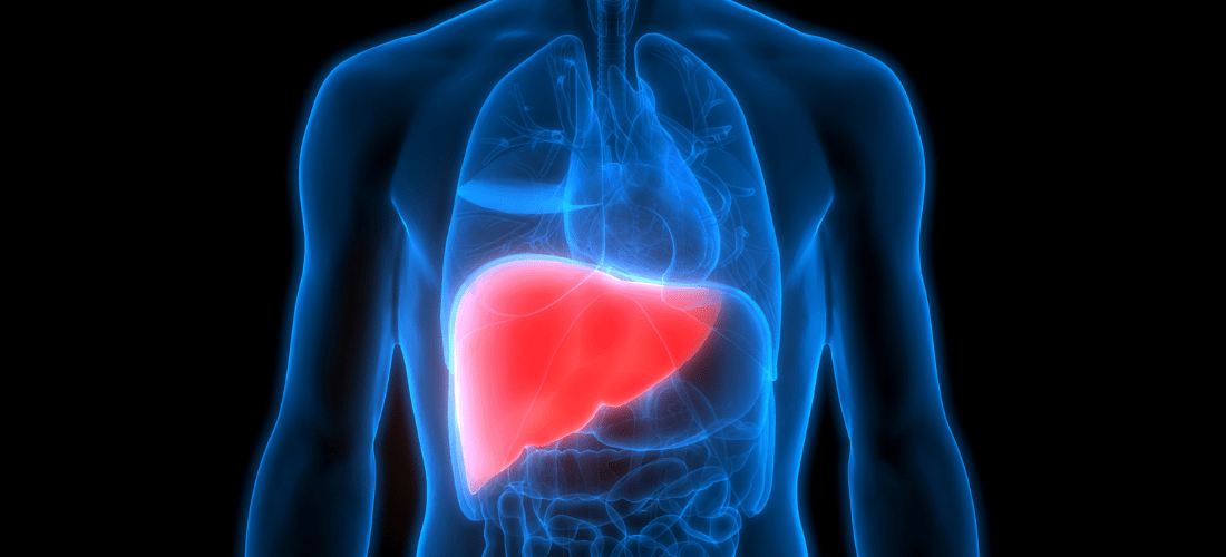 Red liver illustration | Doylestown Health